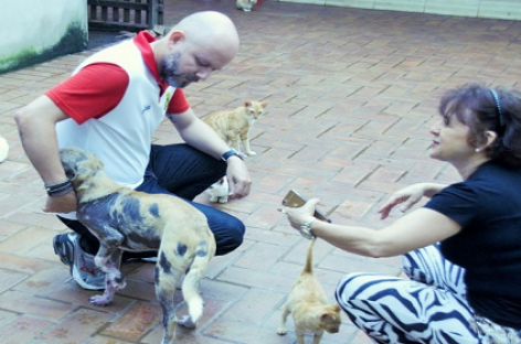 ABRIGO: Palitot busca parcerias em prol de animais de rua