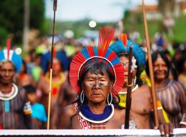 Terra indígena é invadida por grileiros em Rondônia