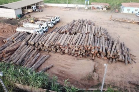 Ações de fiscalização, combate a incêndios florestais e extração ilegal de madeira são reforçados em Rondônia