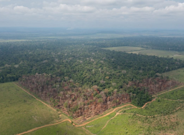 Deputados que aprovaram redução de áreas protegidas em Rondônia foram financiados pelo agro