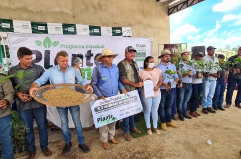 Programa “Plante Mais” beneficiará agricultores com mais de 5 milhões de mudas de Café Clonal e 600 mil mudas de cacau clonal