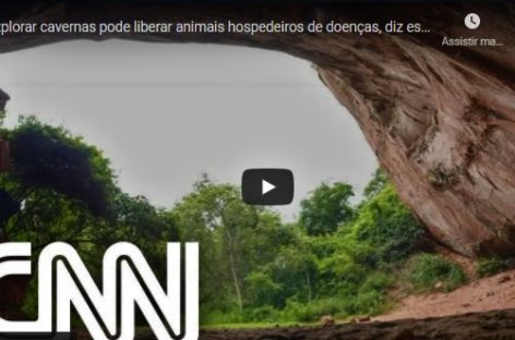Explorar cavernas pode liberar animais hospedeiros de doenças, diz especialista | LIVE CNN