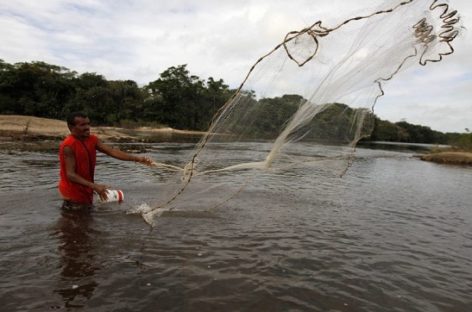 Proposta proíbe pesca do dourado por cinco anos nos rios brasileiros