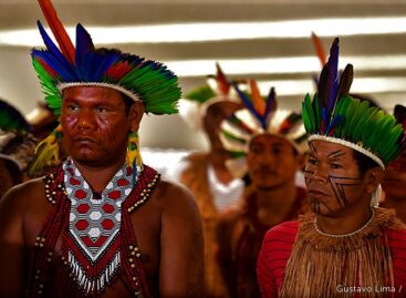 Cores, lutas, tradições: o STJ como campo de debate e de afirmação dos direitos dos povos indígenas