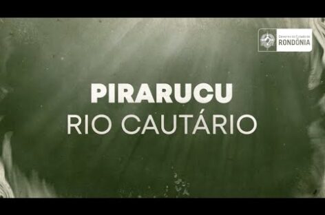 Documentário – Pirarucu Rio Cautário