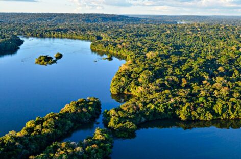 AGU obtém bloqueio de R$ 95,6 milhões em bens de desmatadores da Amazônia