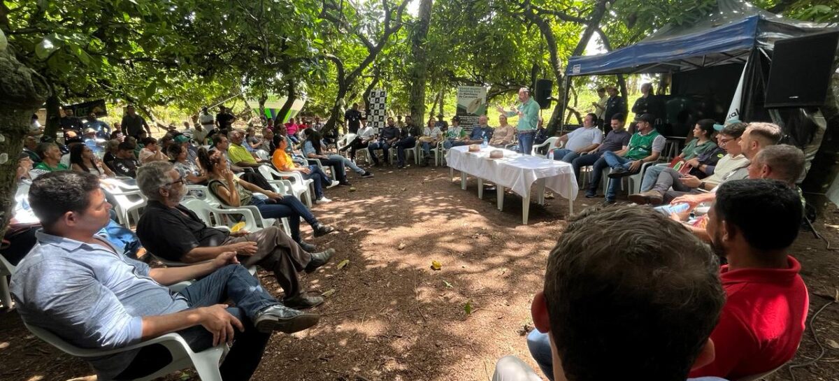Rondônia inicia colheita de cacau com expectativa de aumento na safra